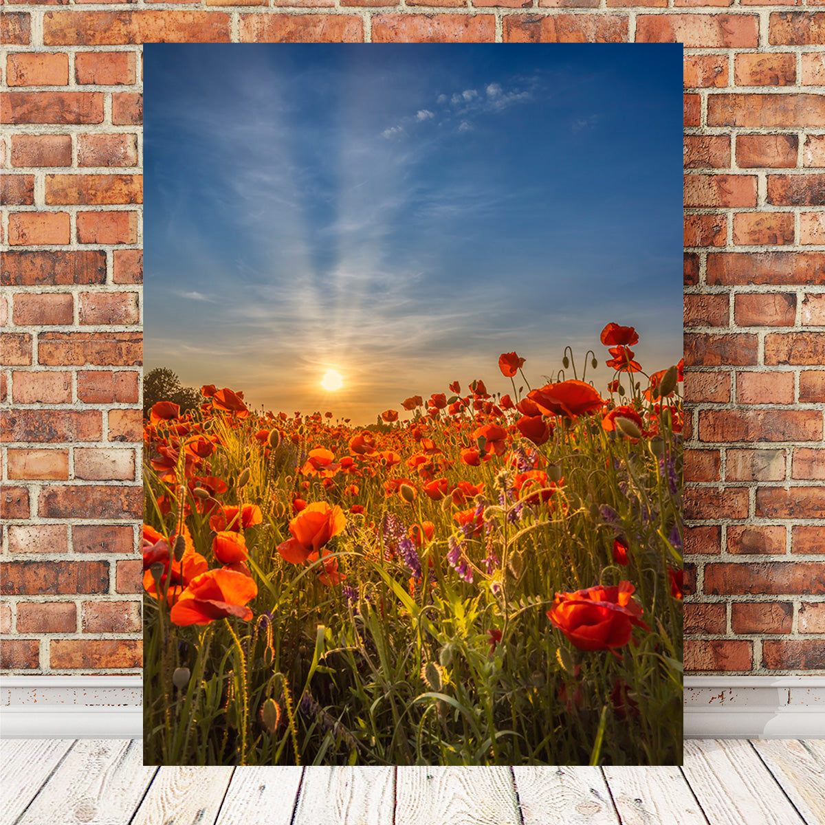 Lovely Sunset in a Poppy Field Wall Art