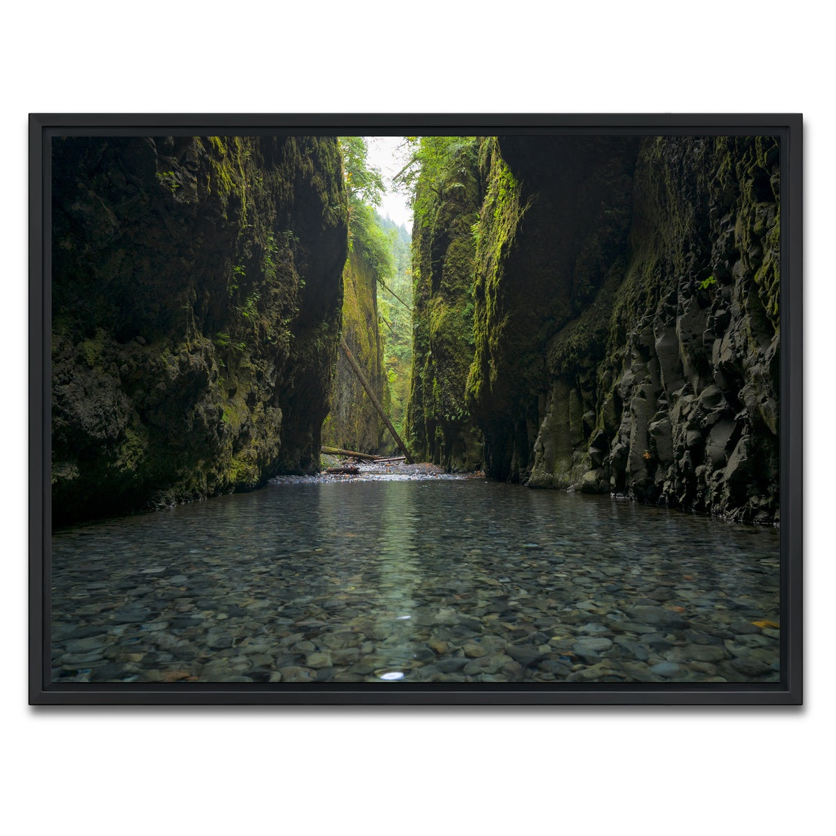 AUTO-MOCKUP WHITE | Lower Oneonta Falls | 1 Piece | Black Framed Canvas | group=4x3