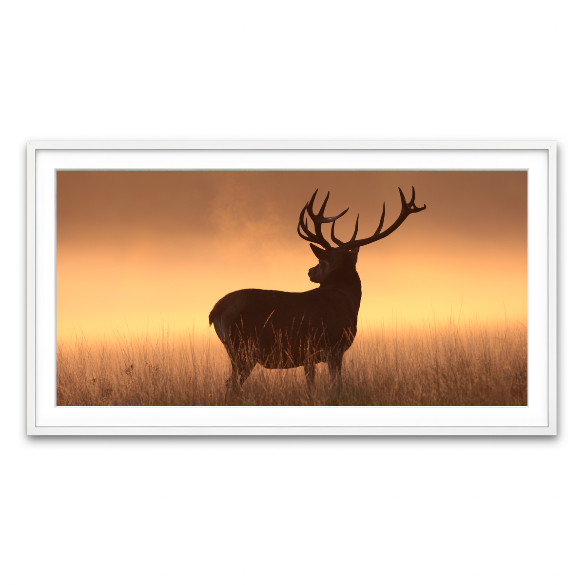 Framed Print 2x1 White