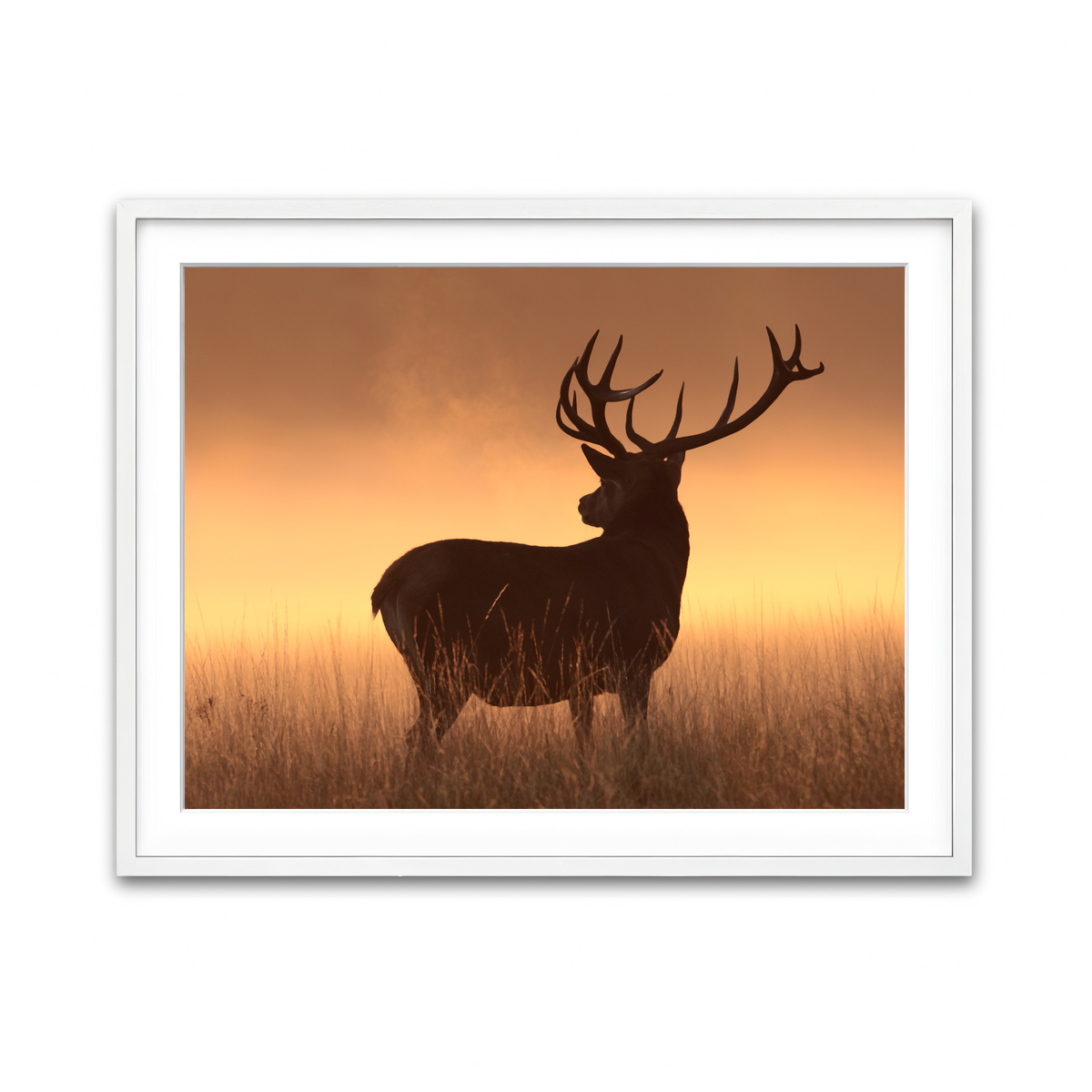 Framed Print 4x3 White