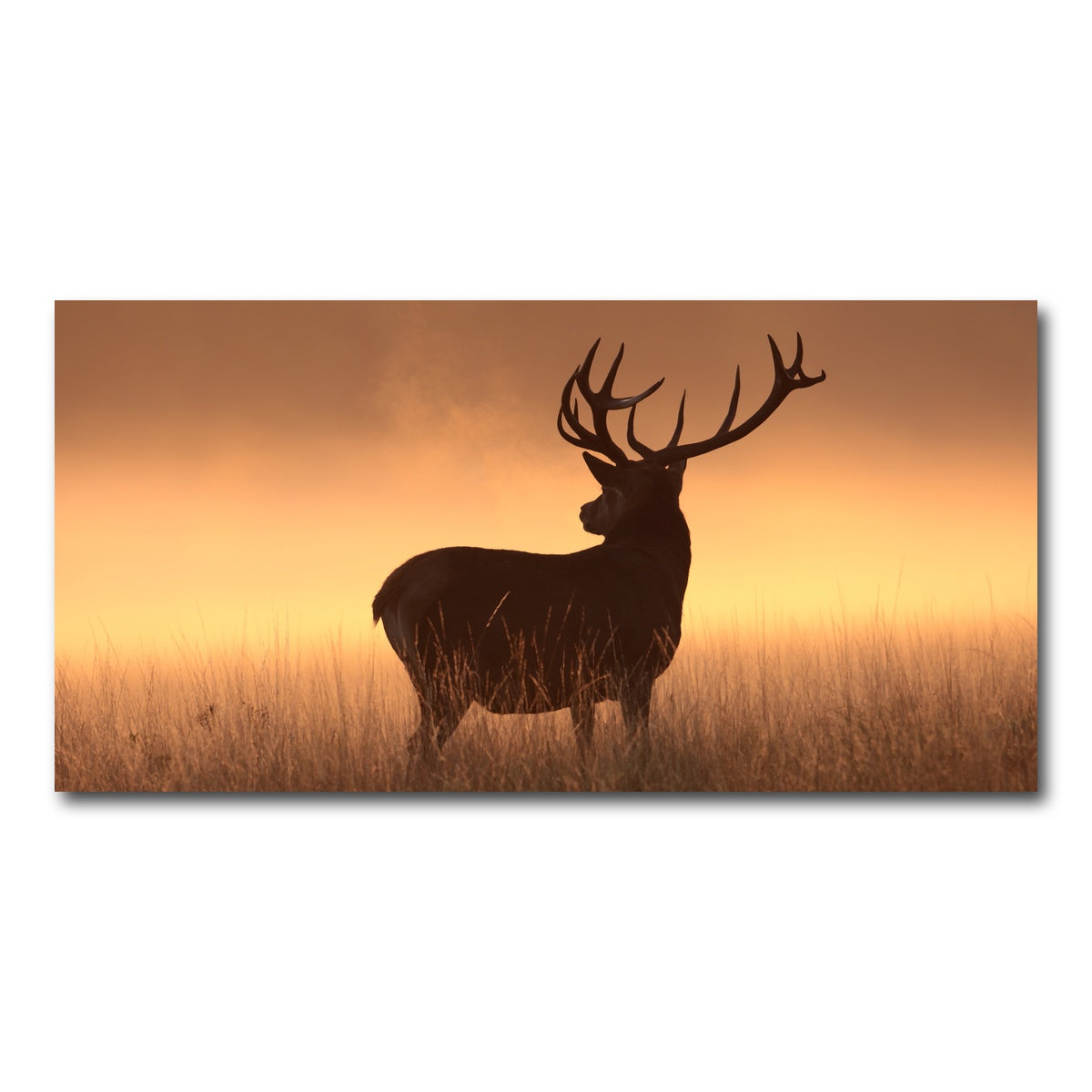 AUTO-MOCKUP WHITE | Majestic Deer | 1 Piece | Gallery Wrap Canvas | group=2x1