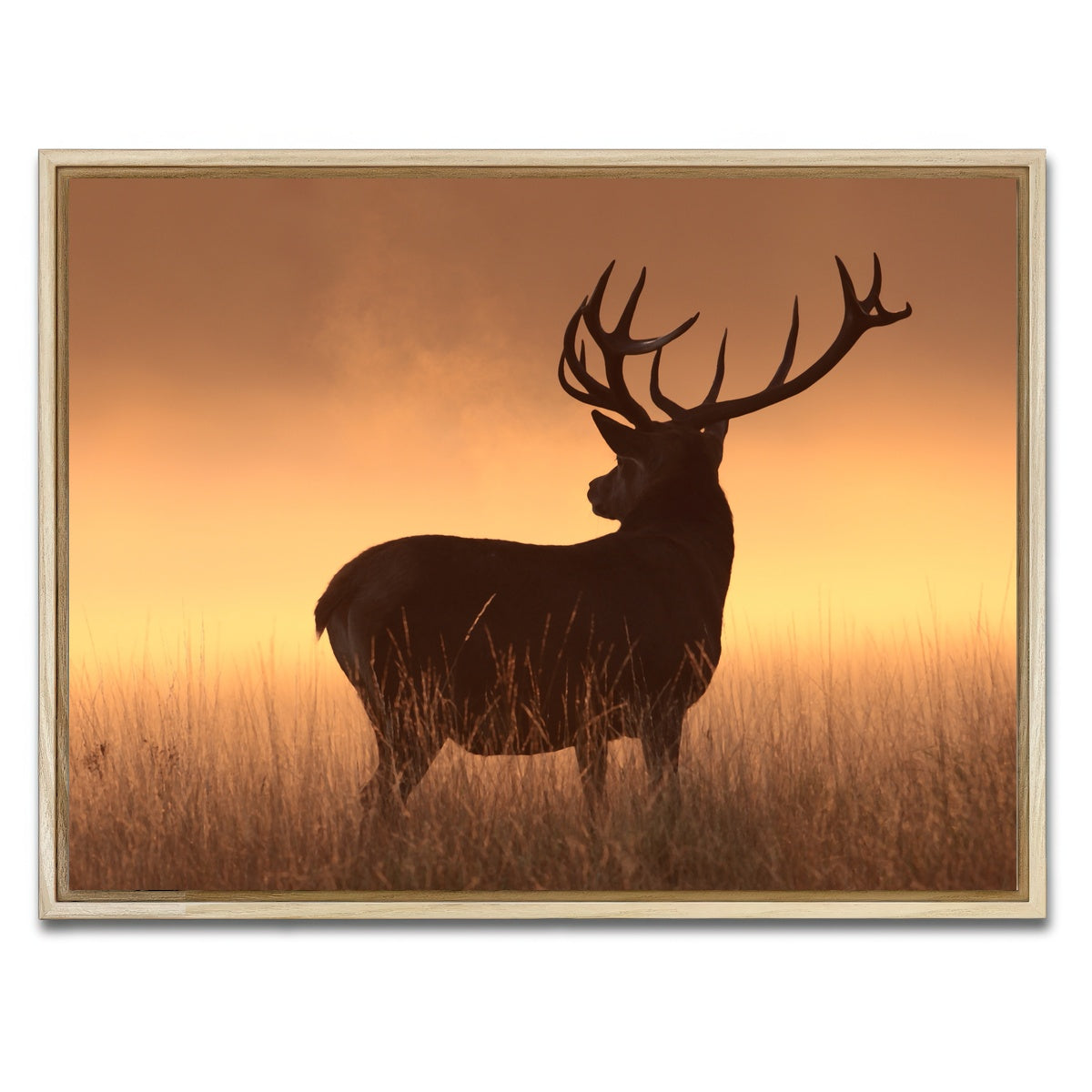 AUTO-MOCKUP WHITE | Majestic Deer | 1 Piece | Natural Framed Canvas | group=4x3