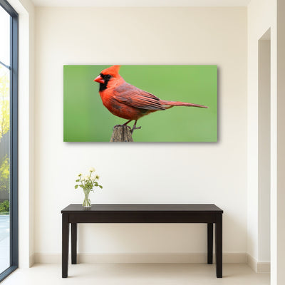 AUTO-MOCKUP ROOM | Male Northern Cardinal