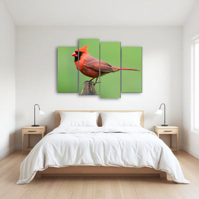 AUTO-MOCKUP ROOM | Male Northern Cardinal