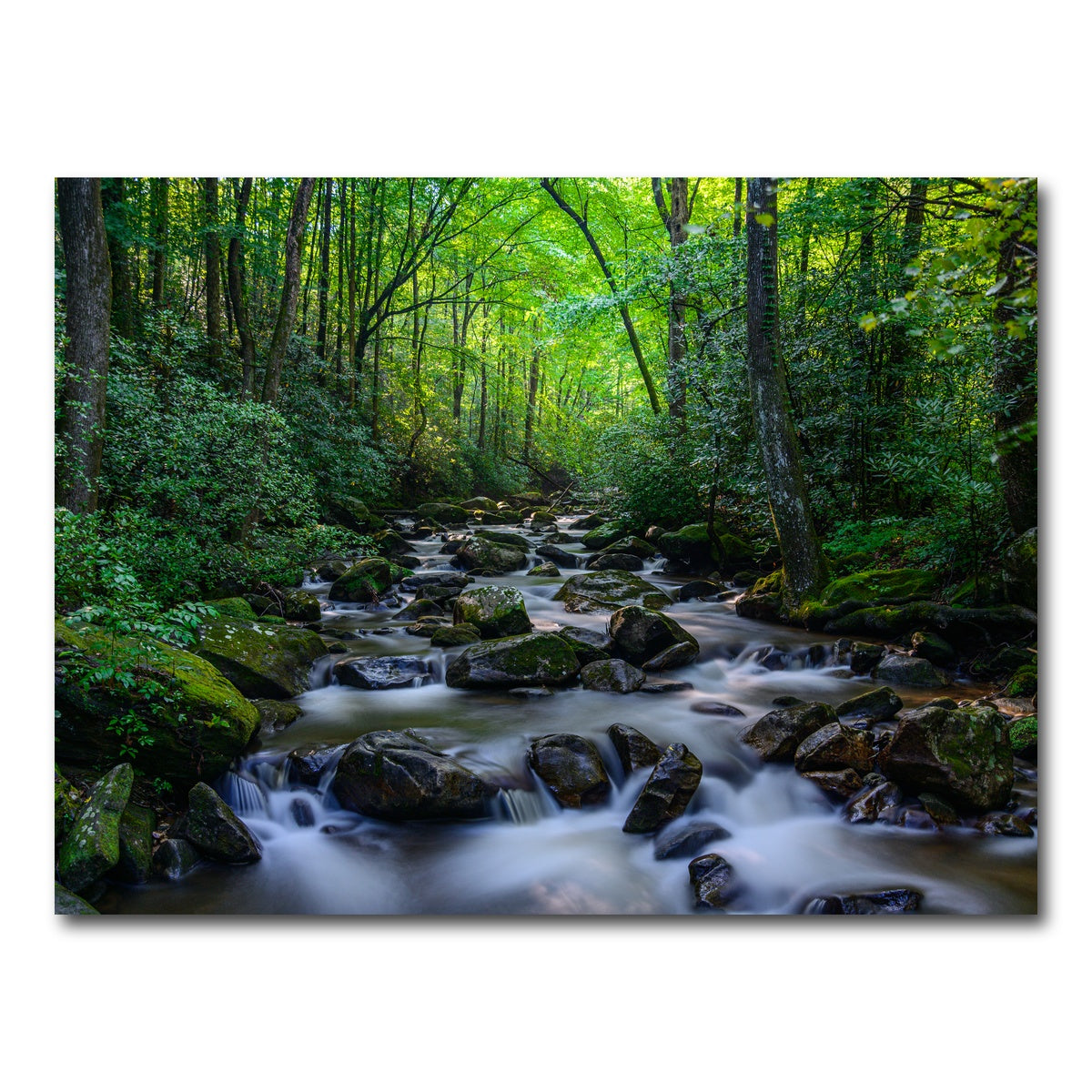 AUTO-MOCKUP WHITE | Mariatta South Carolina | 1 Piece | Gallery Wrap Canvas | group=4x3