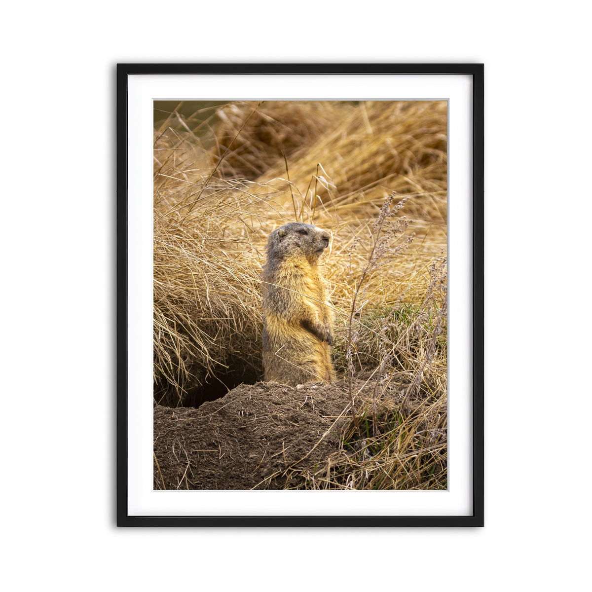 Framed Print 3x4 Black