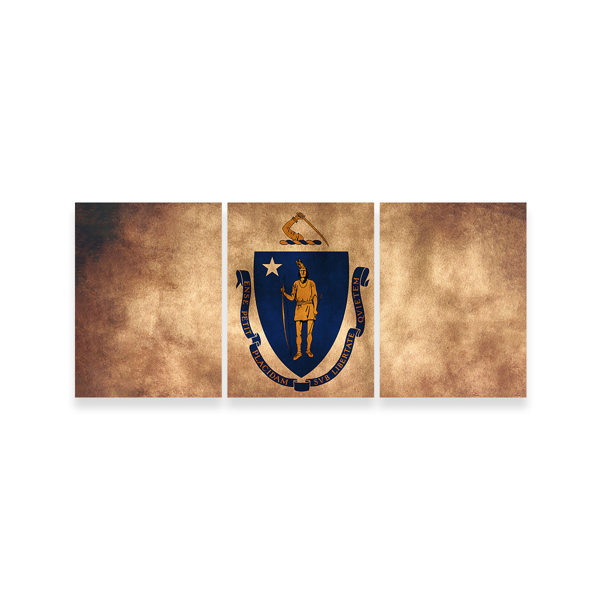 Massachusetts State Flag Grunge Wall Art