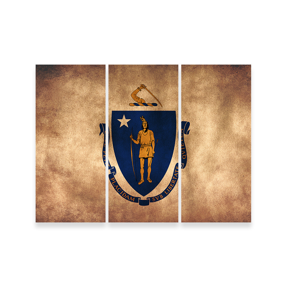 Massachusetts State Flag Grunge Wall Art