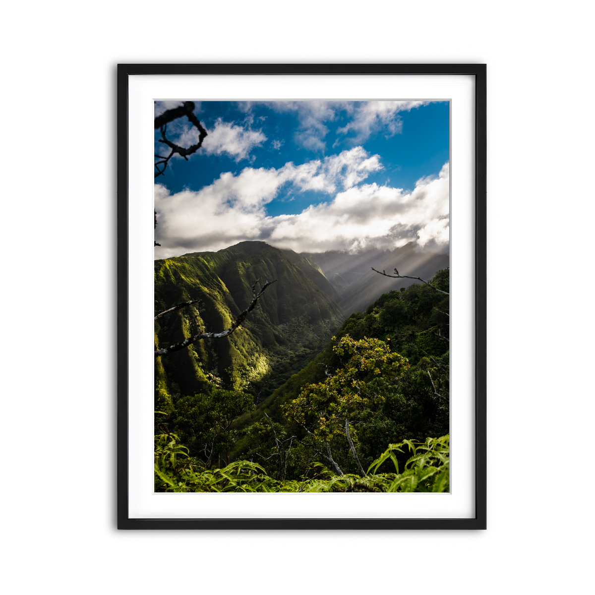Framed Print 3x4 Black