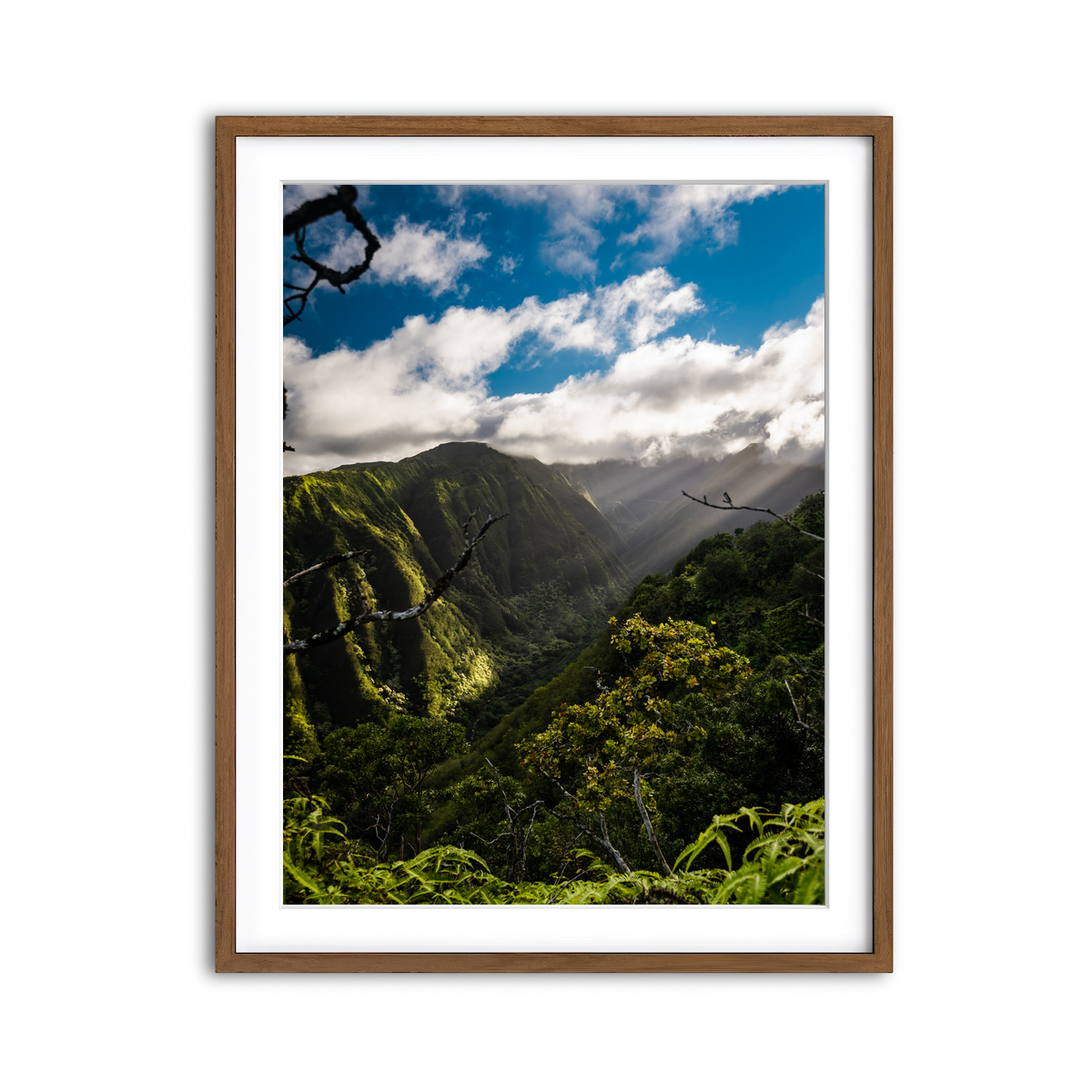 Framed Print 3x4 Walnut