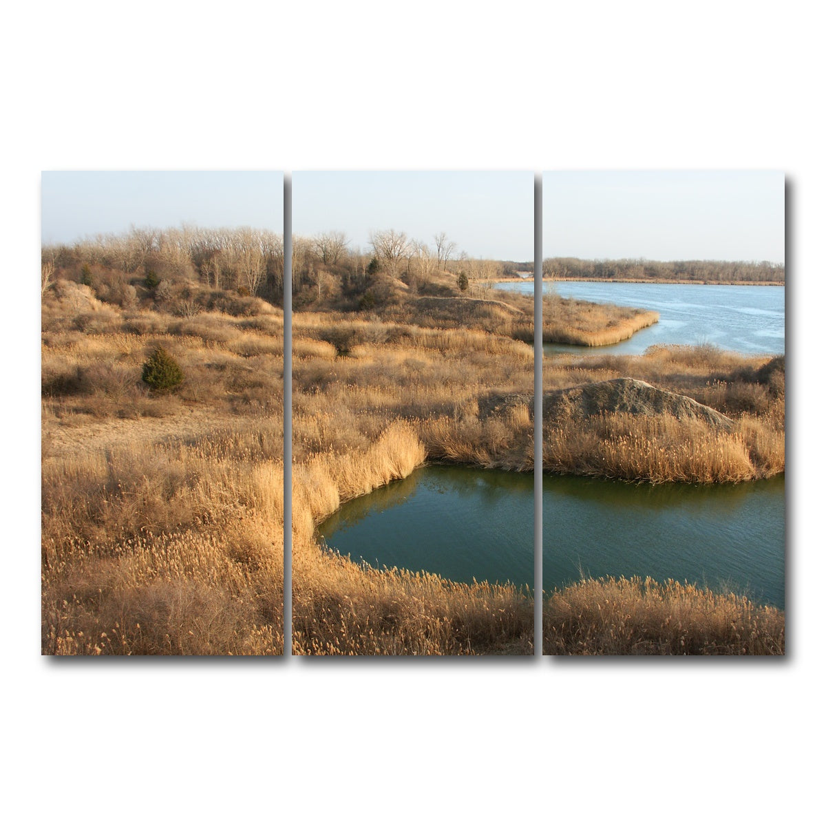 AUTO-MOCKUP WHITE | Mazonia Braidwood State Fish and Wildlife Area | 3 Piece | Gallery Wrap Canvas | group=12x24