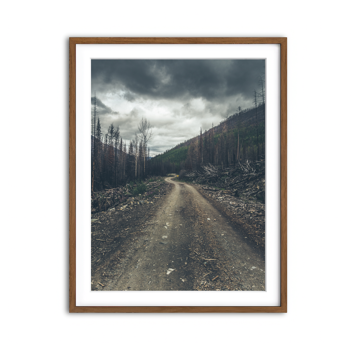Framed Print 3x4 Walnut