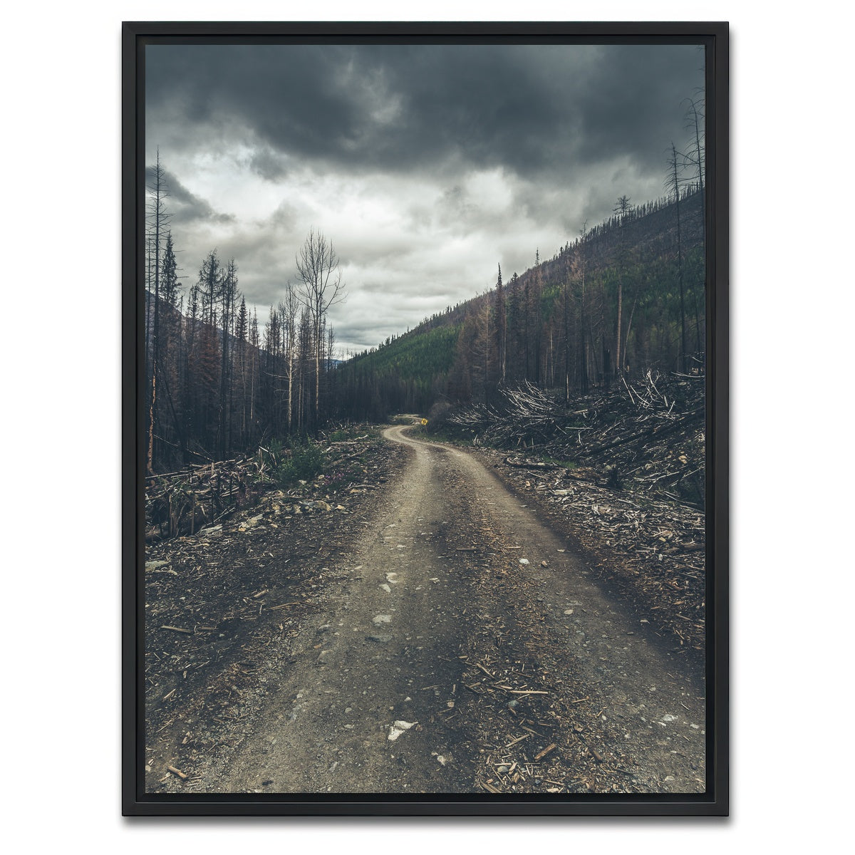 AUTO-MOCKUP WHITE | Meachen FSR | 1 Piece | Black Framed Canvas | group=3x4