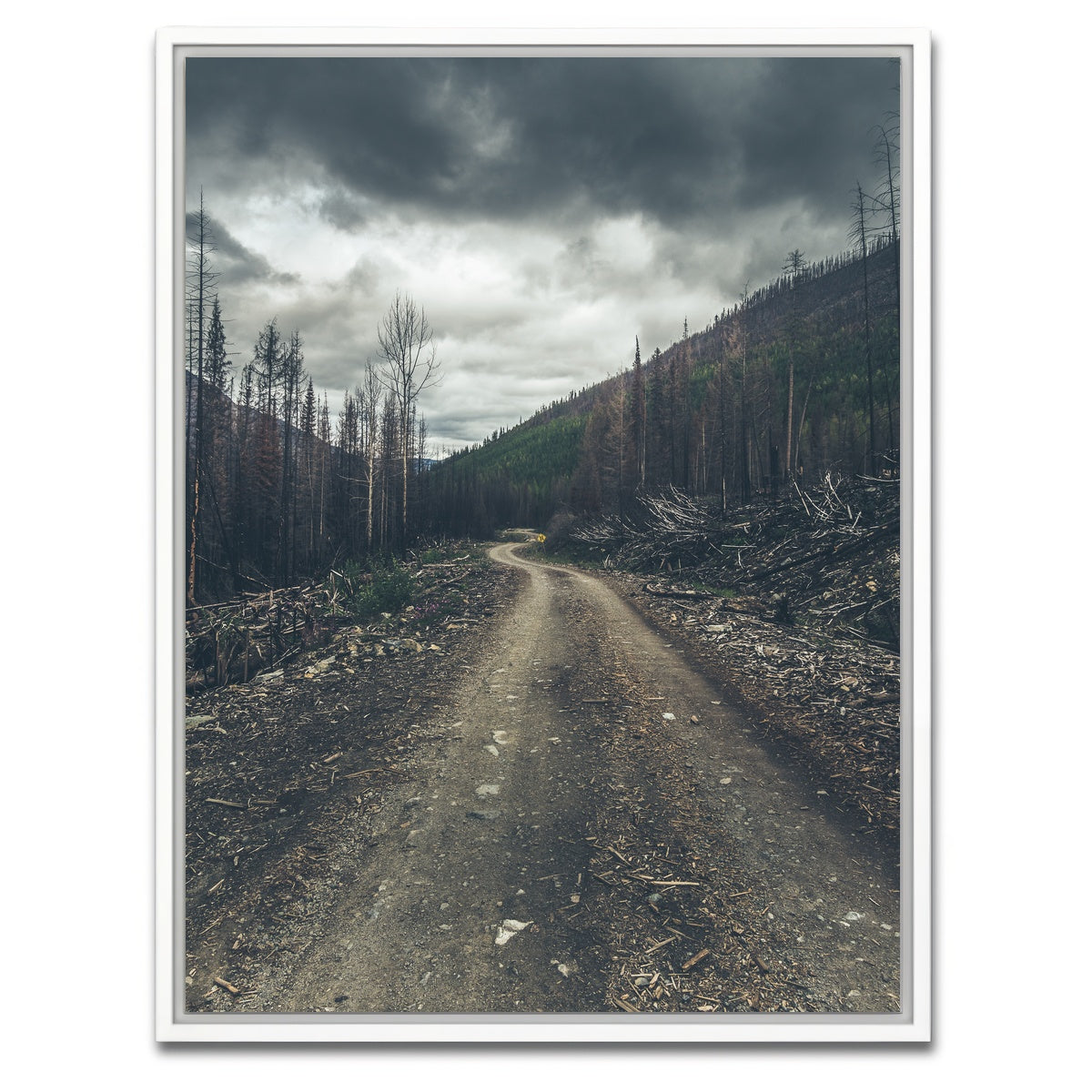 AUTO-MOCKUP WHITE | Meachen FSR | 1 Piece | White Framed Canvas | group=3x4