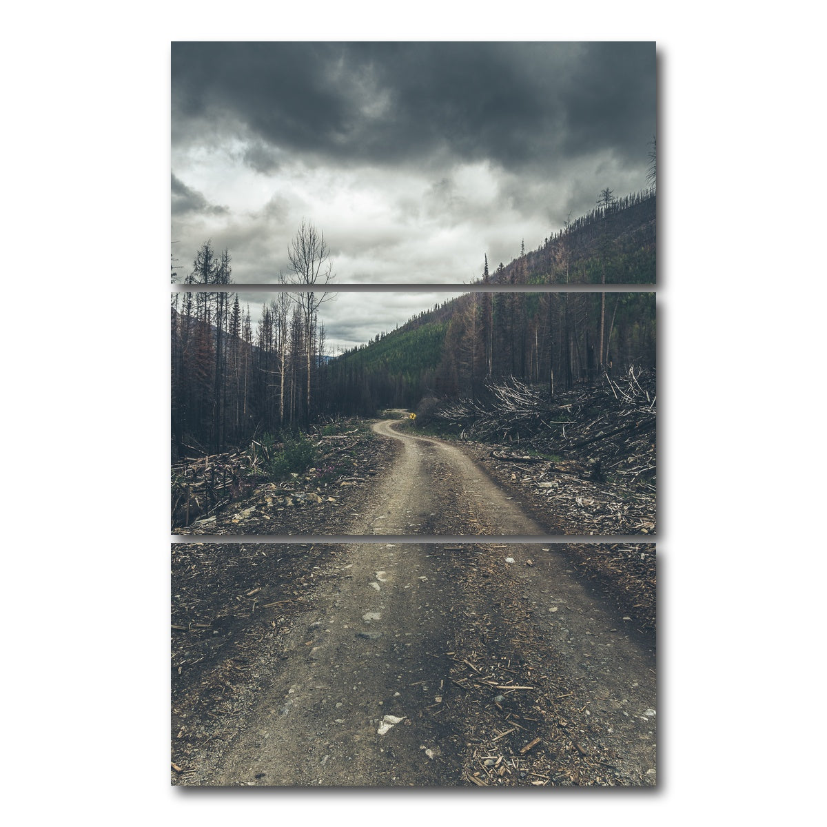 AUTO-MOCKUP WHITE | Meachen FSR | 3 Piece | Gallery Wrap Canvas | group=12x24_stacked