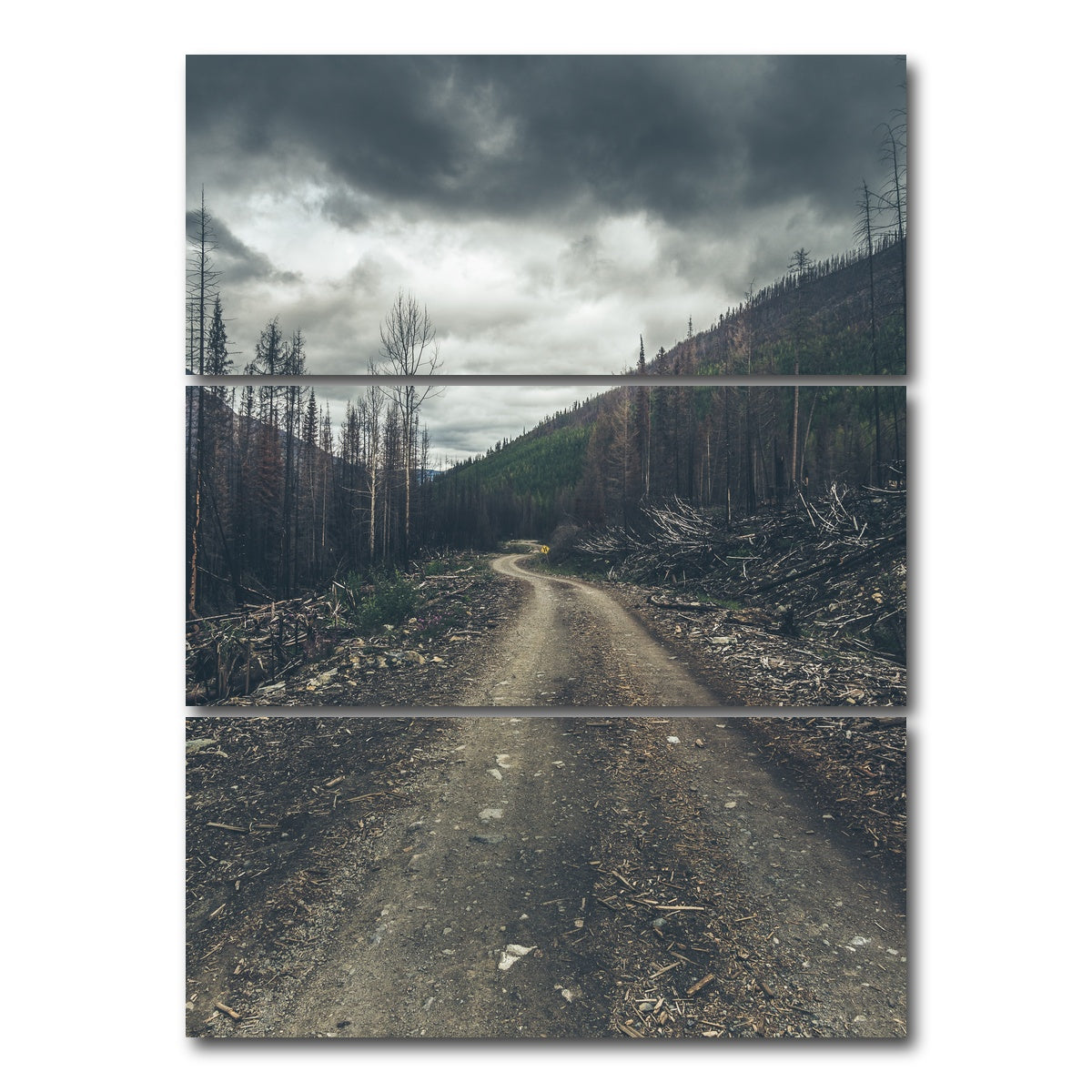 AUTO-MOCKUP WHITE | Meachen FSR | 3 Piece | Gallery Wrap Canvas | group=8x18_stacked