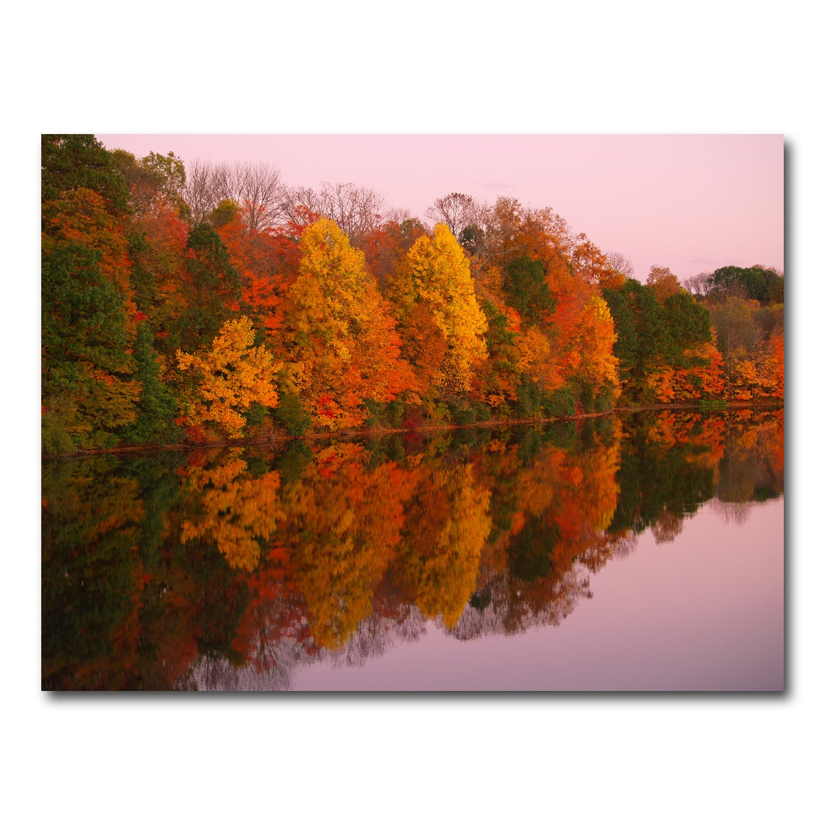 AUTO-MOCKUP WHITE | Mirrored Autumn Twilight at Lake Nockamixon | 1 Piece | Gallery Wrap Canvas | group=4x3