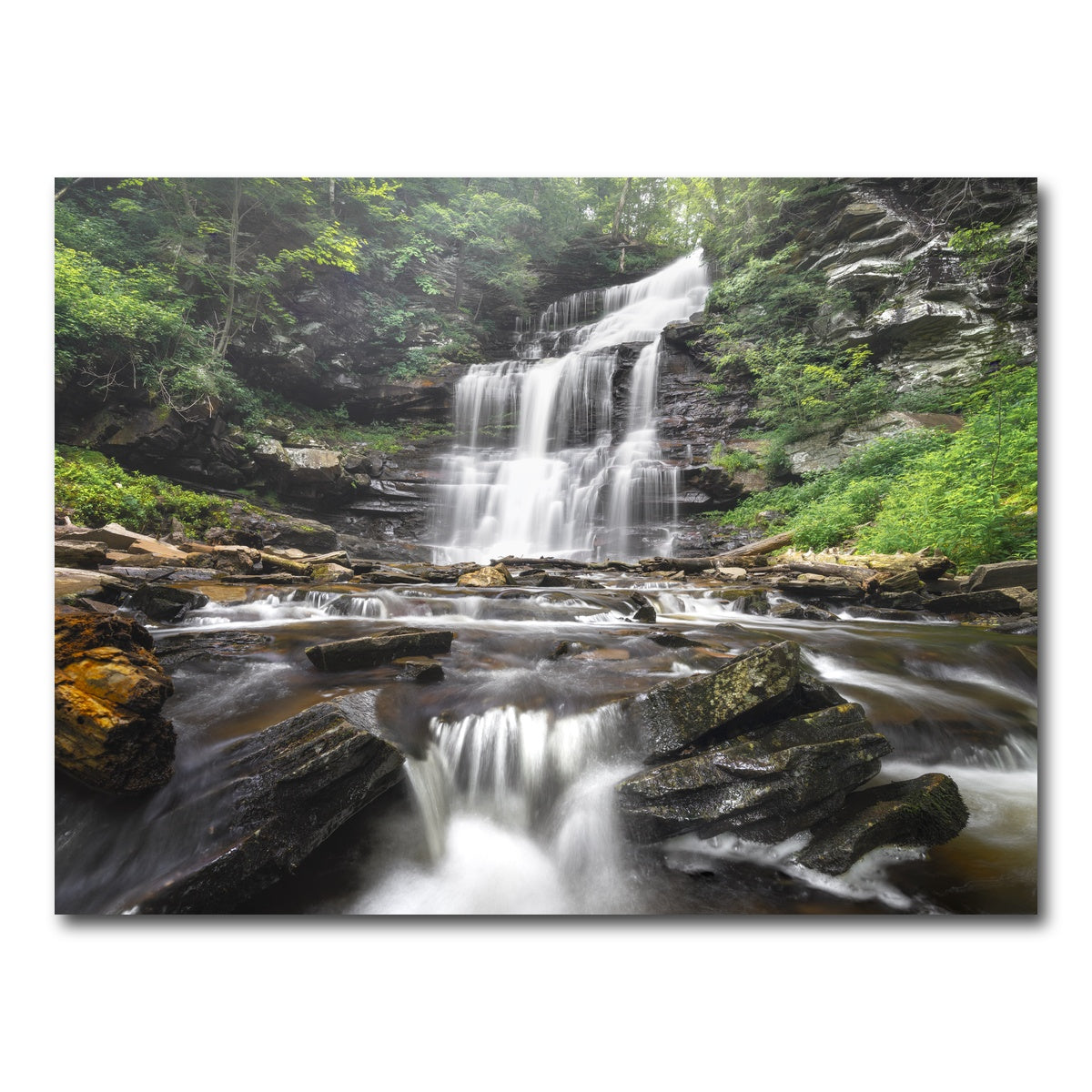 AUTO-MOCKUP WHITE | Misty Monster | 1 Piece | Gallery Wrap Canvas | group=4x3