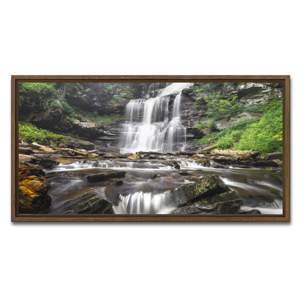 AUTO-MOCKUP WHITE | Misty Monster | 1 Piece | Walnut Framed Canvas | group=2x1