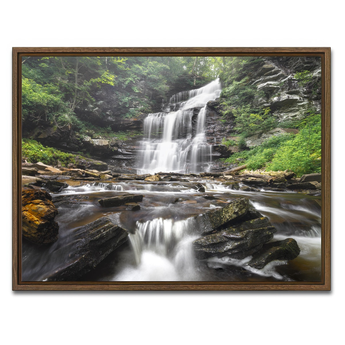 AUTO-MOCKUP WHITE | Misty Monster | 1 Piece | Walnut Framed Canvas | group=4x3