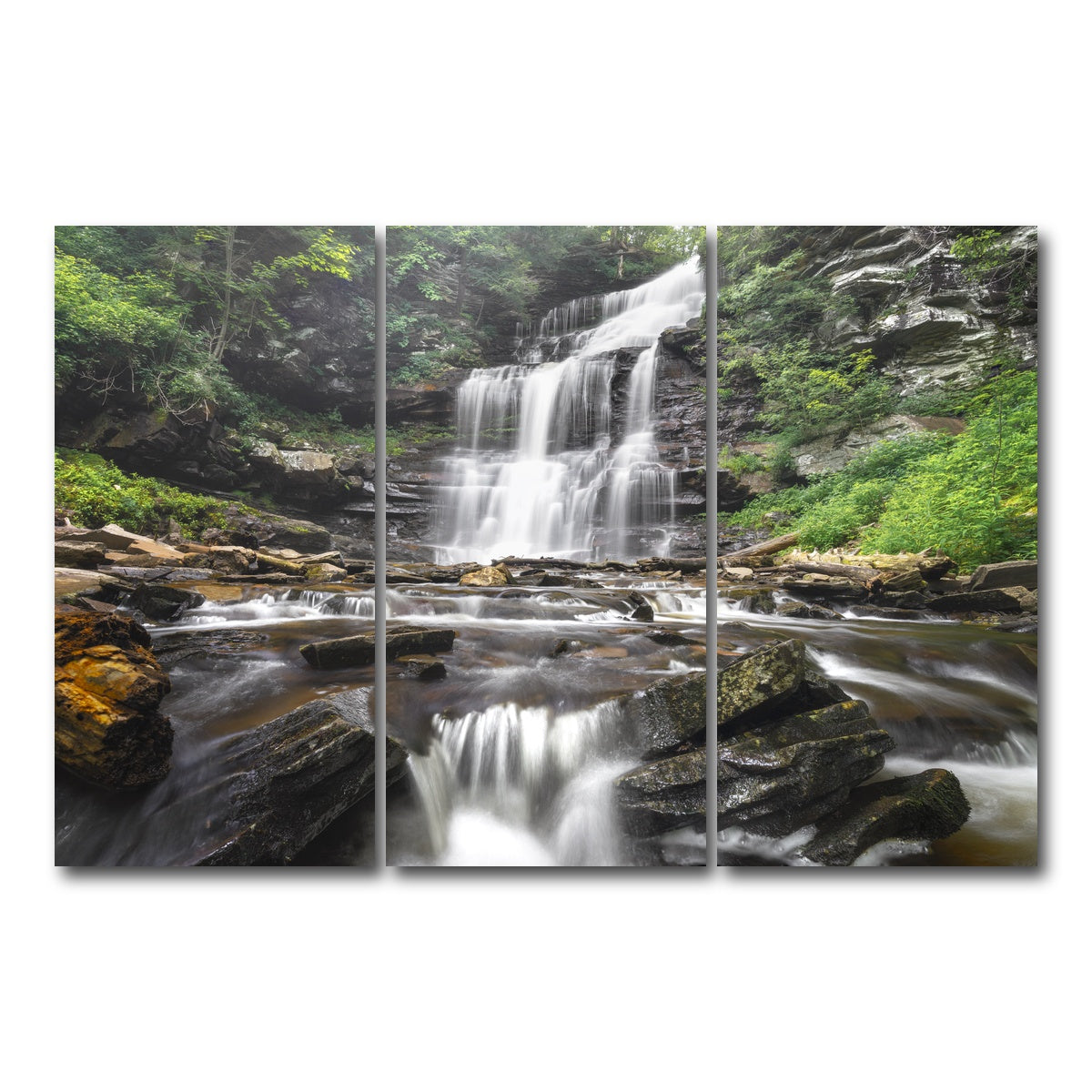 AUTO-MOCKUP WHITE | Misty Monster | 3 Piece | Gallery Wrap Canvas | group=12x24