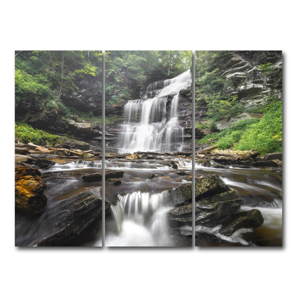 AUTO-MOCKUP WHITE | Misty Monster | 3 Piece | Gallery Wrap Canvas | group=8x18