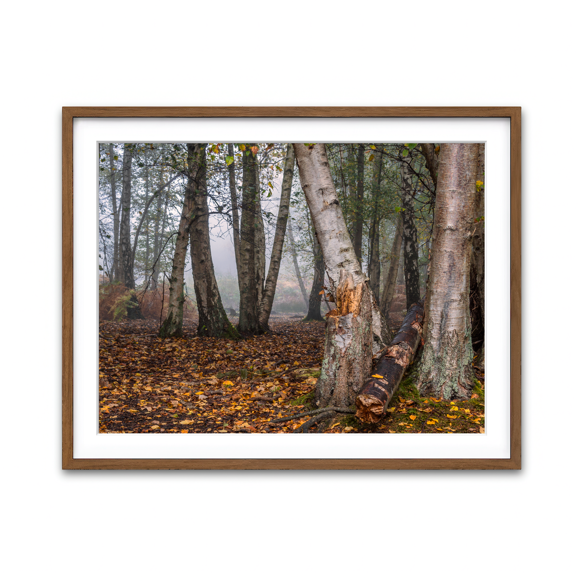 Framed Print 4x3 Walnut