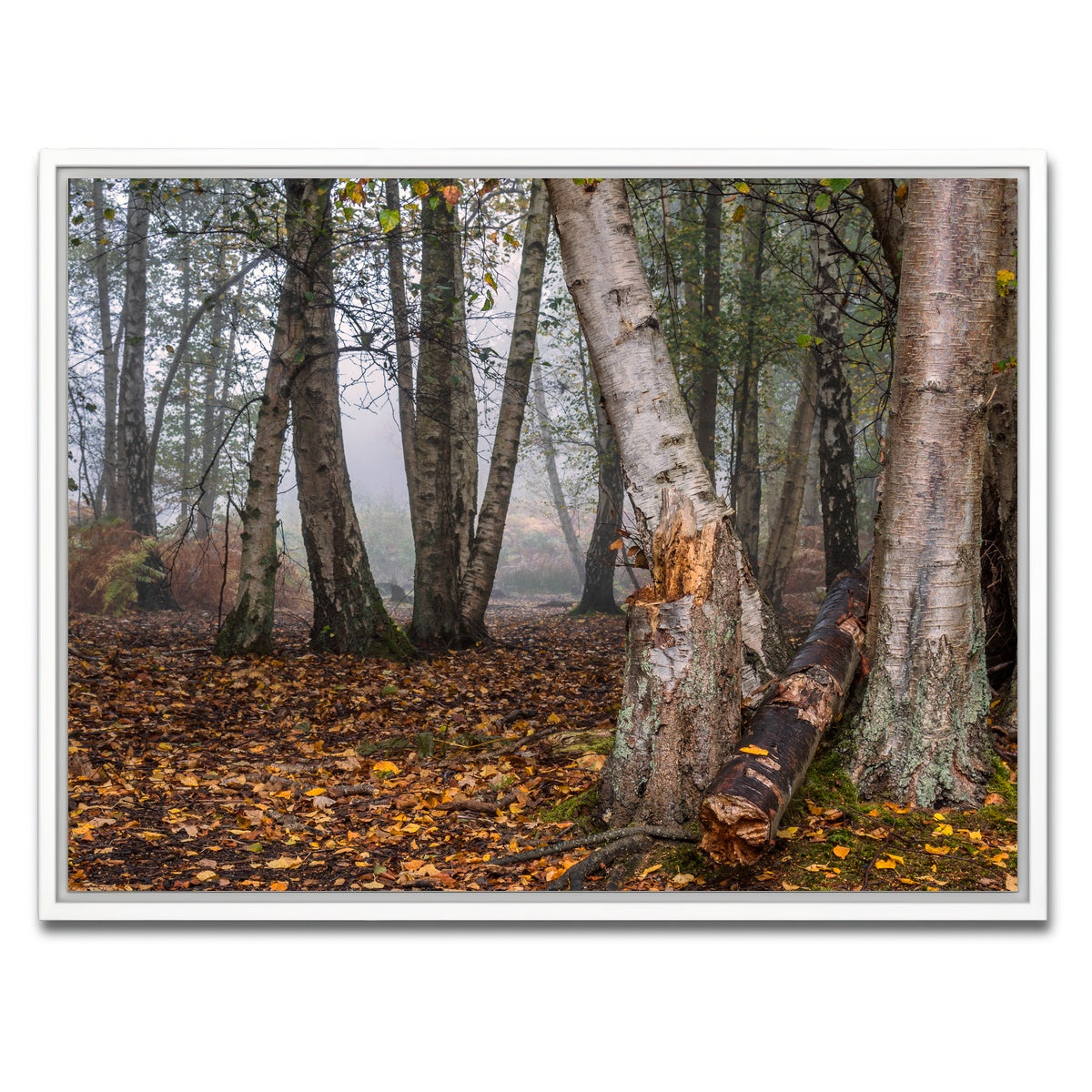 AUTO-MOCKUP WHITE | Misty Morning | 1 Piece | White Framed Canvas | group=4x3