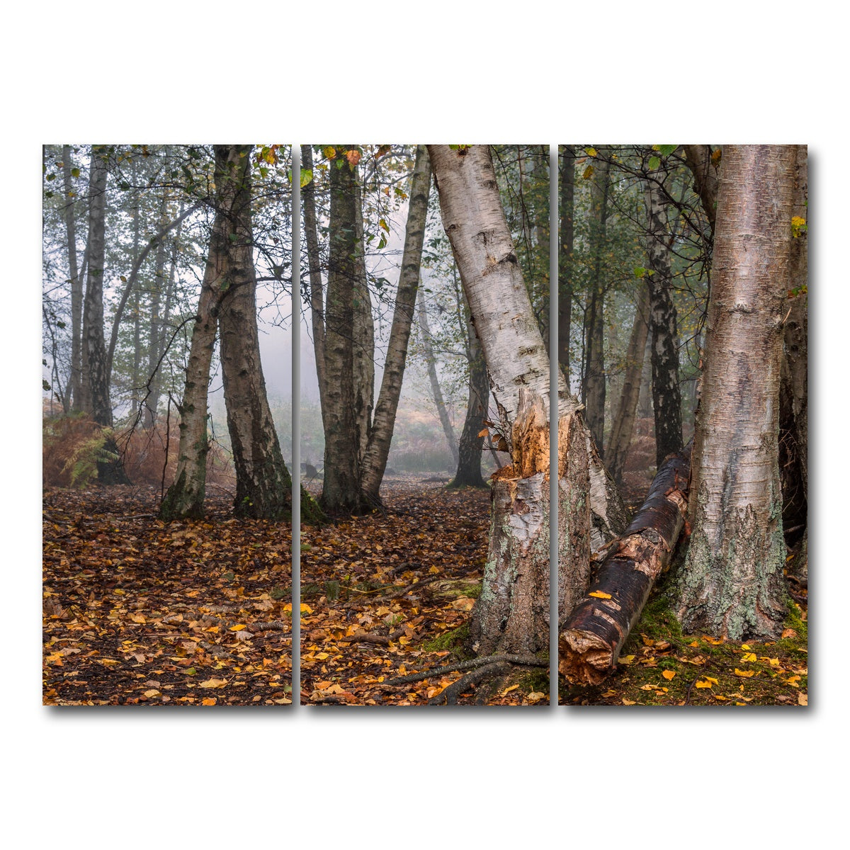 AUTO-MOCKUP WHITE | Misty Morning | 3 Piece | Gallery Wrap Canvas | group=8x18