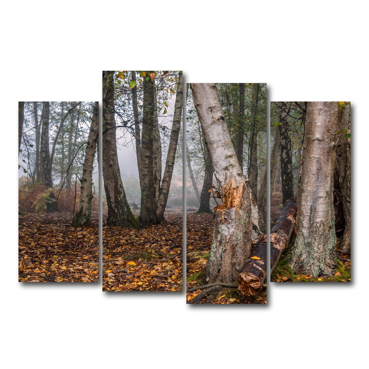 AUTO-MOCKUP WHITE | Misty Morning | 4 Piece | Gallery Wrap Canvas | group=4_normal