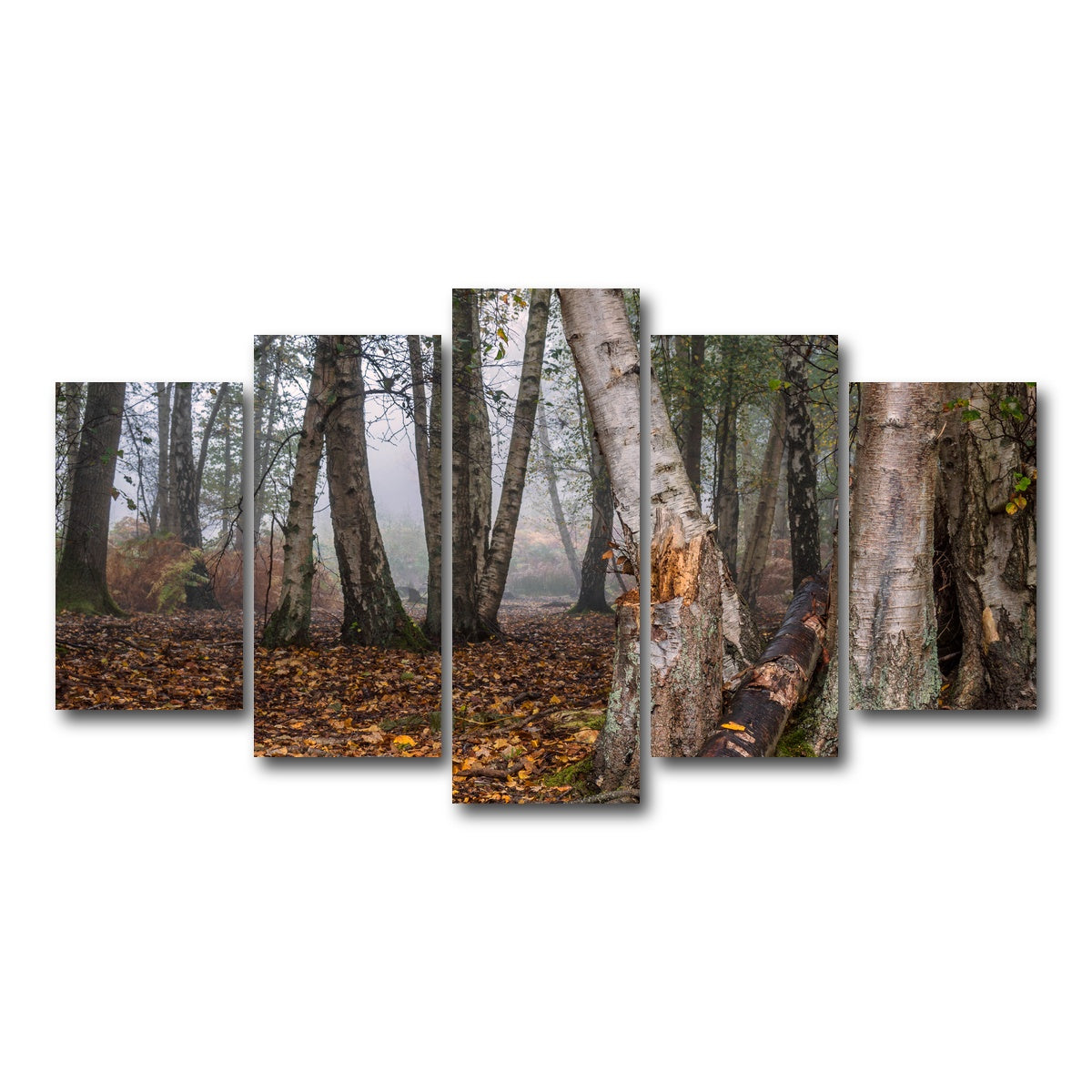 AUTO-MOCKUP WHITE | Misty Morning | 5 Piece | Gallery Wrap Canvas | group=5_normal