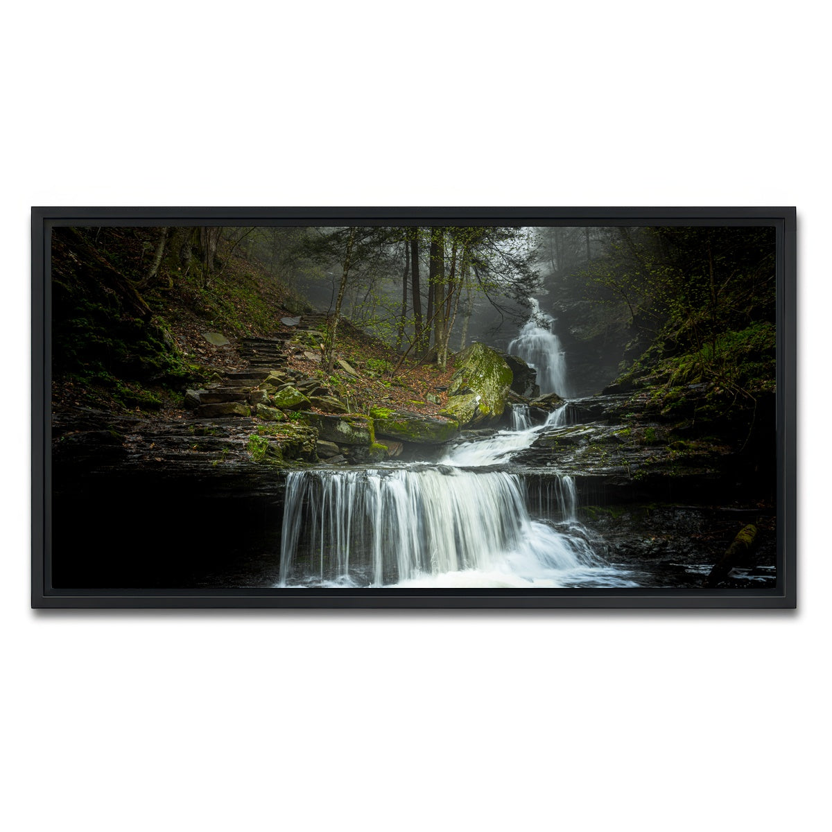 AUTO-MOCKUP WHITE | Misty Steps | 1 Piece | Black Framed Canvas | group=2x1