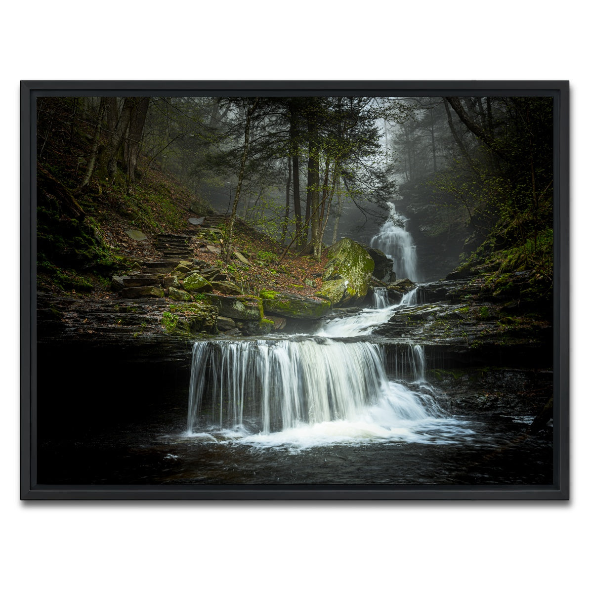 AUTO-MOCKUP WHITE | Misty Steps | 1 Piece | Black Framed Canvas | group=4x3