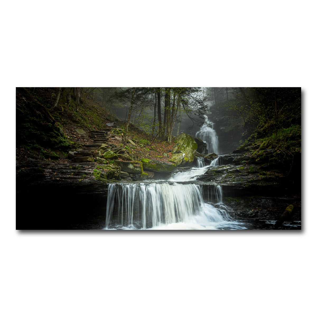 AUTO-MOCKUP WHITE | Misty Steps | 1 Piece | Gallery Wrap Canvas | group=2x1