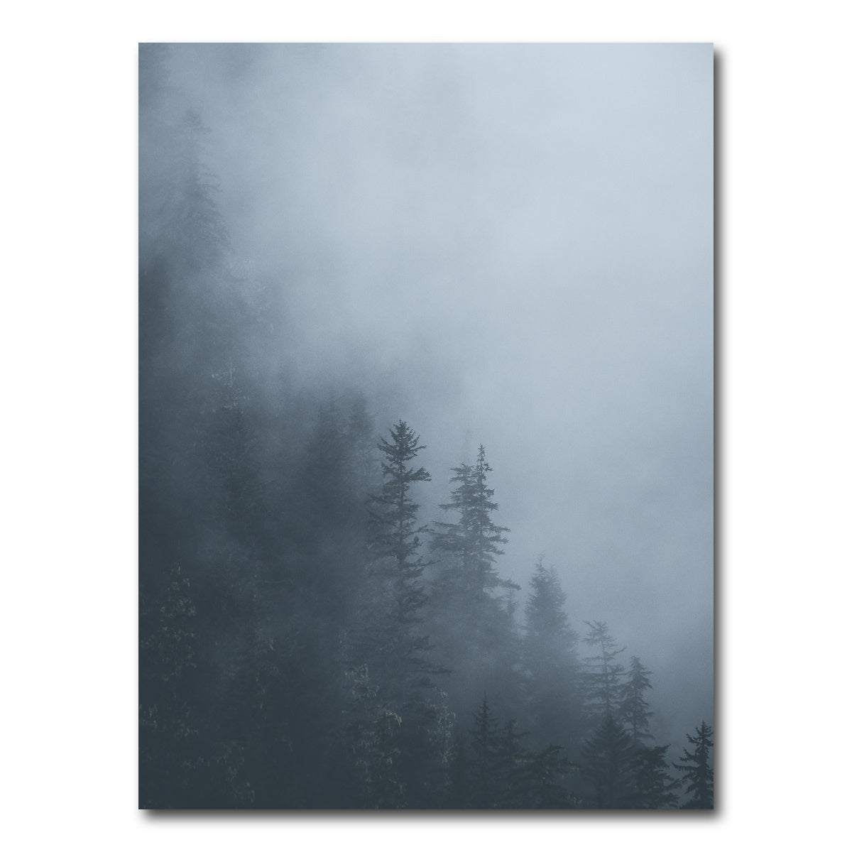 AUTO-MOCKUP WHITE | Misty Trees 1 | 1 Piece | Gallery Wrap Canvas | group=3x4