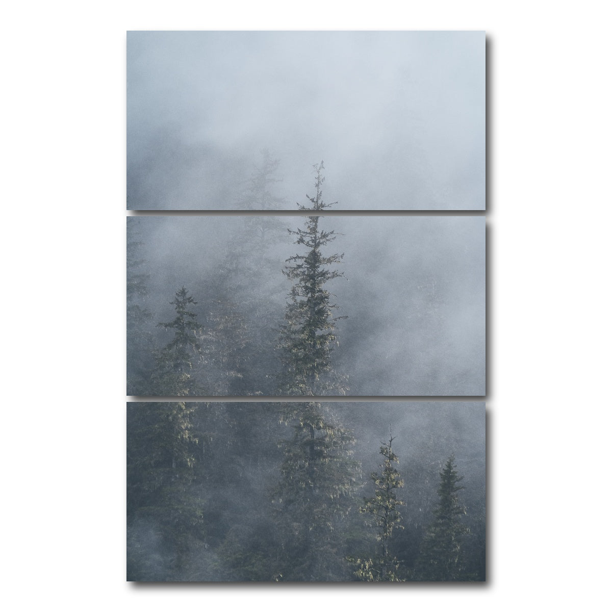 AUTO-MOCKUP WHITE | Misty Trees 2 | 3 Piece | Gallery Wrap Canvas | group=12x24_stacked