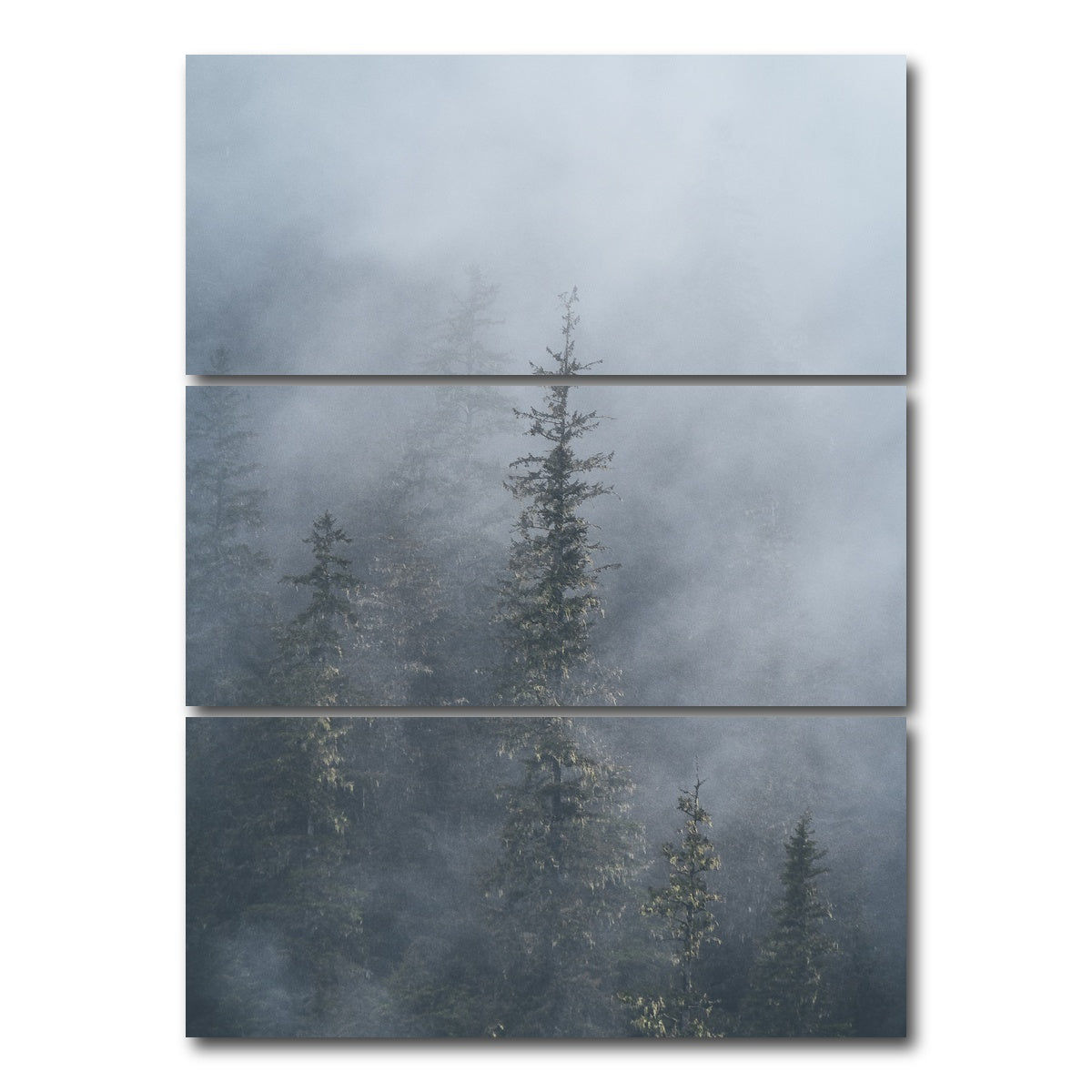AUTO-MOCKUP WHITE | Misty Trees 2 | 3 Piece | Gallery Wrap Canvas | group=8x18_stacked