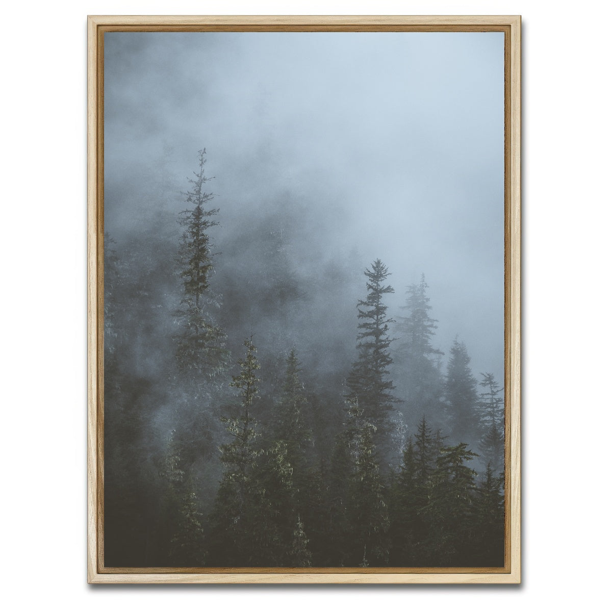 AUTO-MOCKUP WHITE | Misty Trees 3 | 1 Piece | Natural Framed Canvas | group=3x4