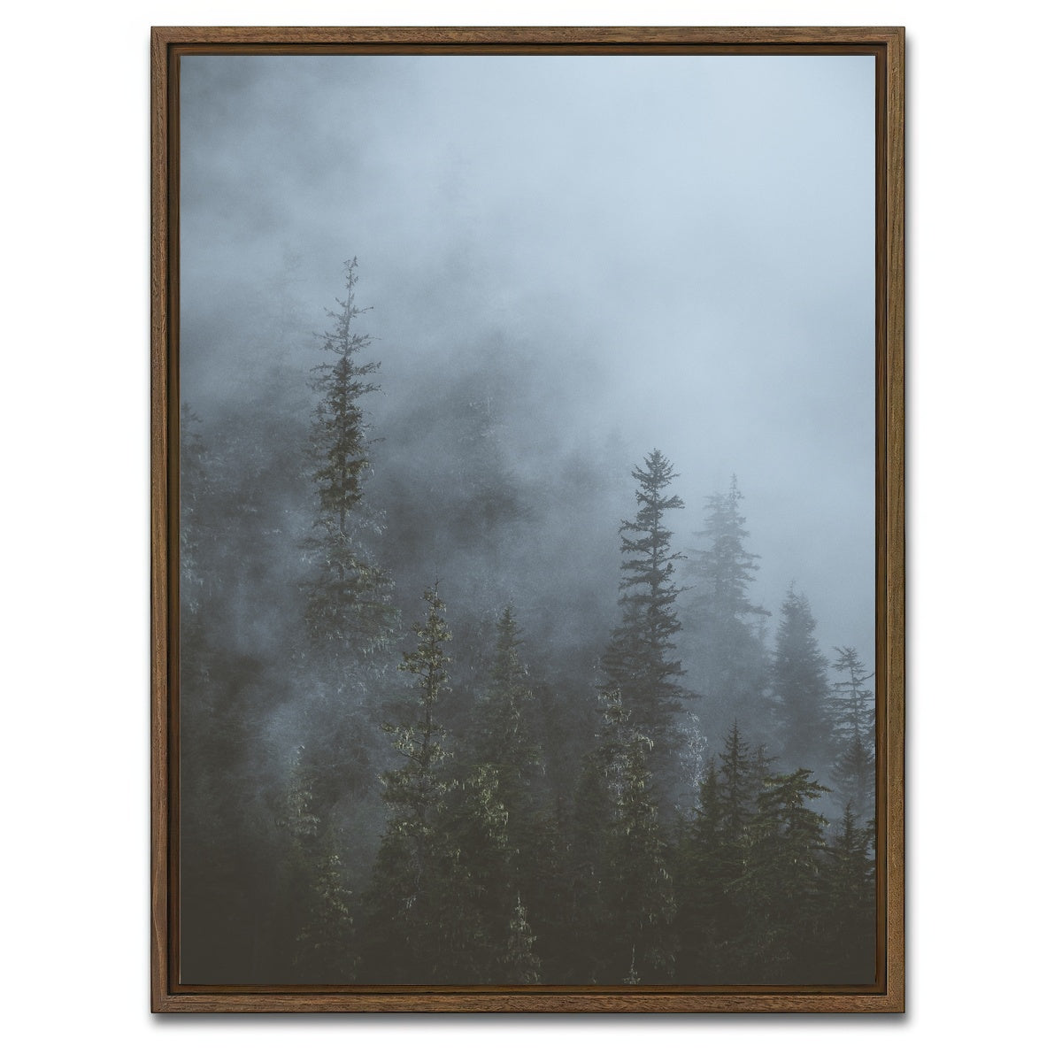 AUTO-MOCKUP WHITE | Misty Trees 3 | 1 Piece | Walnut Framed Canvas | group=3x4
