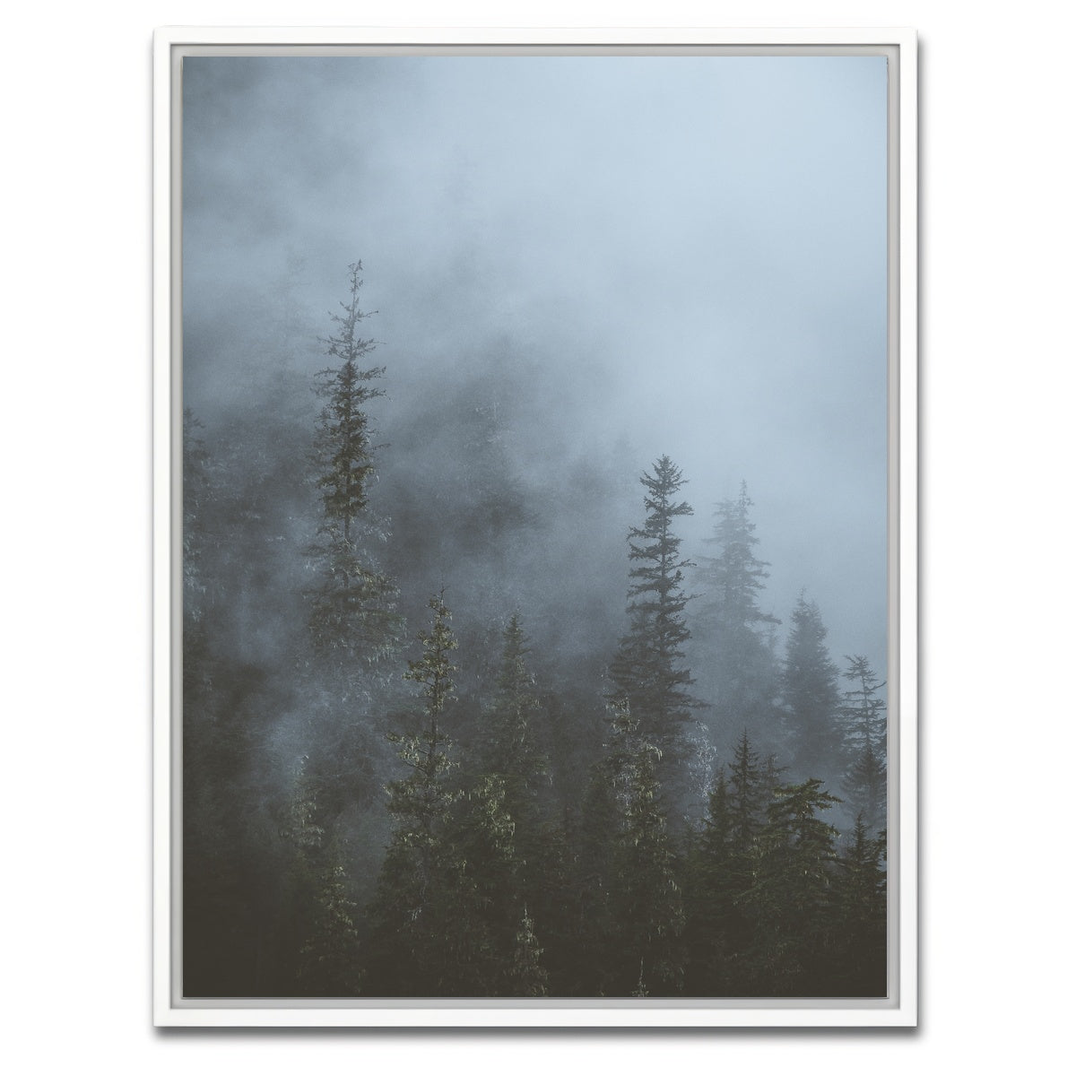 AUTO-MOCKUP WHITE | Misty Trees 3 | 1 Piece | White Framed Canvas | group=3x4