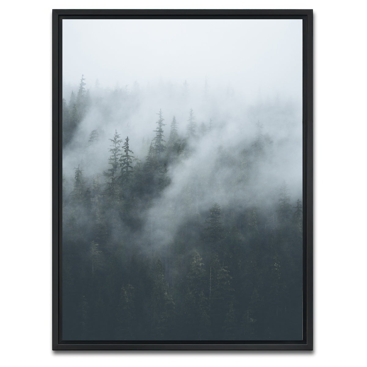 AUTO-MOCKUP WHITE | Misty Trees 4 | 1 Piece | Black Framed Canvas | group=3x4