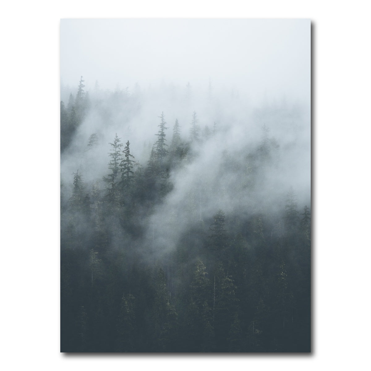 AUTO-MOCKUP WHITE | Misty Trees 4 | 1 Piece | Gallery Wrap Canvas | group=3x4