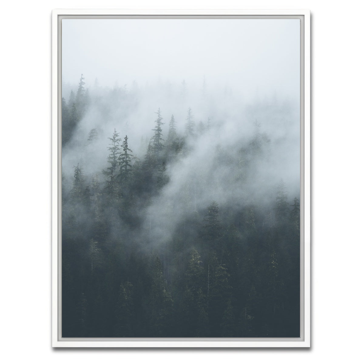 AUTO-MOCKUP WHITE | Misty Trees 4 | 1 Piece | White Framed Canvas | group=3x4