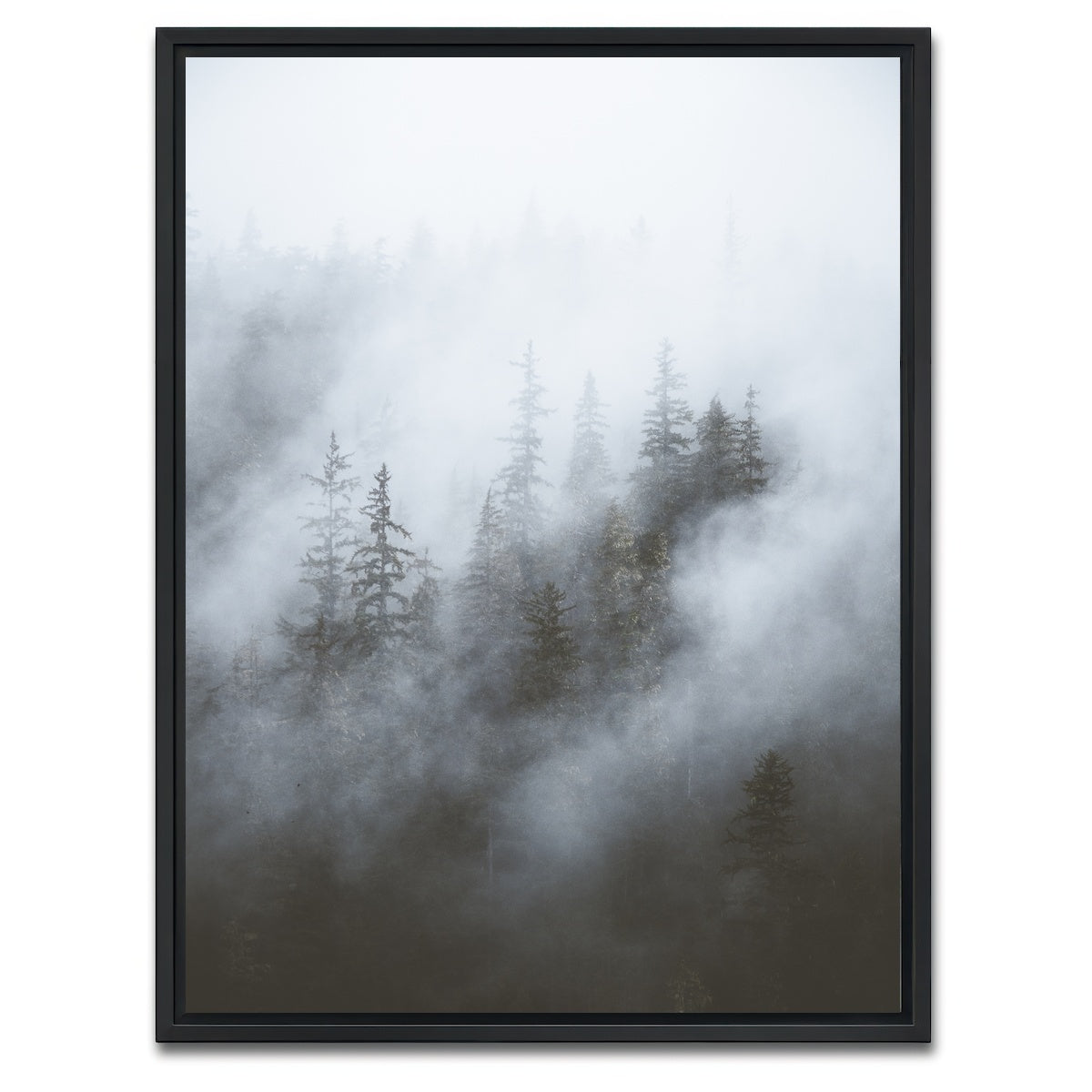 AUTO-MOCKUP WHITE | Misty Trees | 1 Piece | Black Framed Canvas | group=3x4