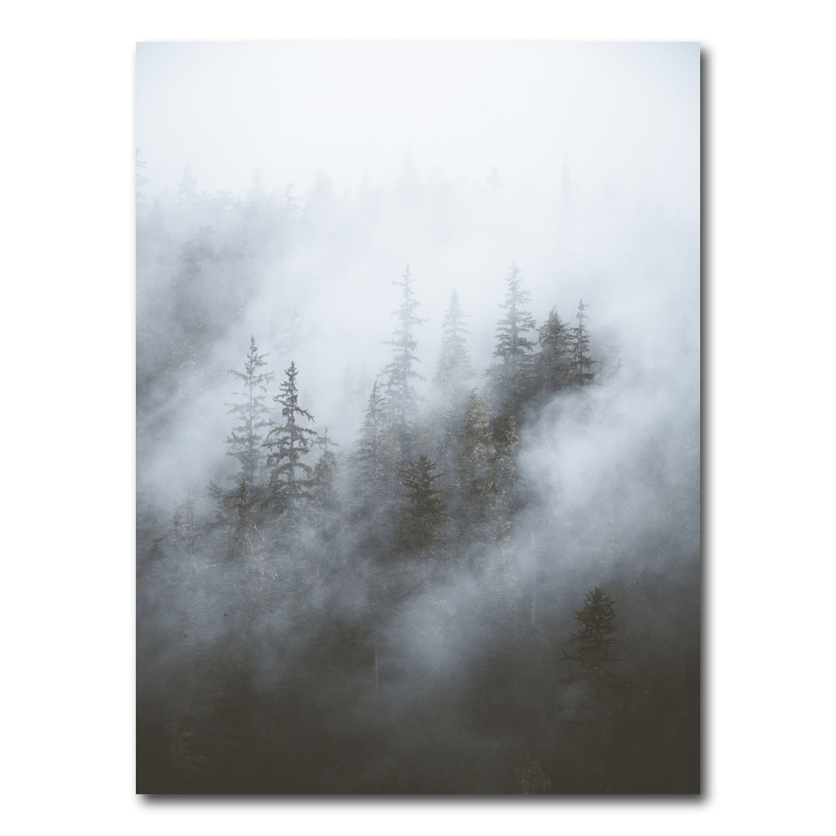 AUTO-MOCKUP WHITE | Misty Trees | 1 Piece | Gallery Wrap Canvas | group=3x4