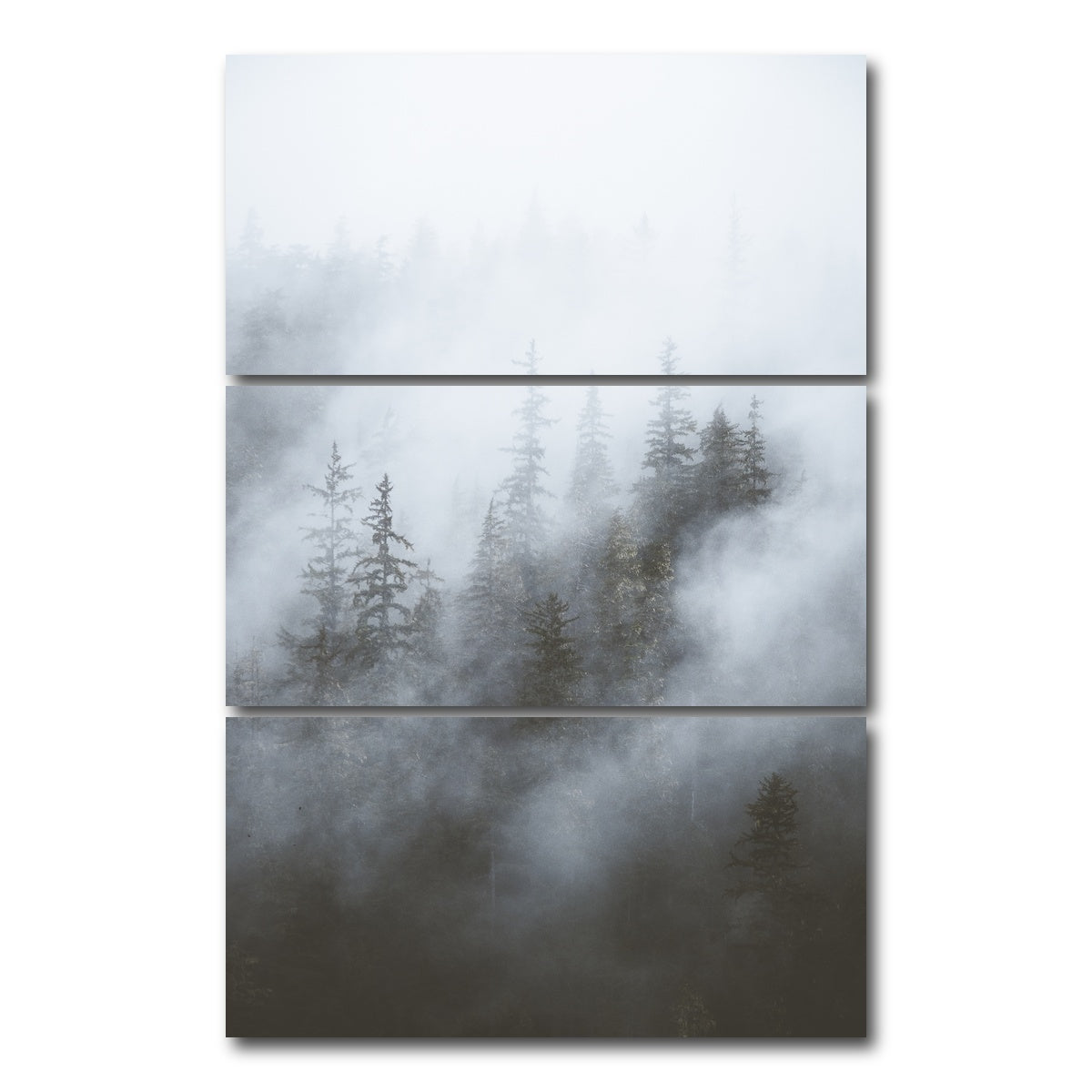 AUTO-MOCKUP WHITE | Misty Trees | 3 Piece | Gallery Wrap Canvas | group=12x24_stacked