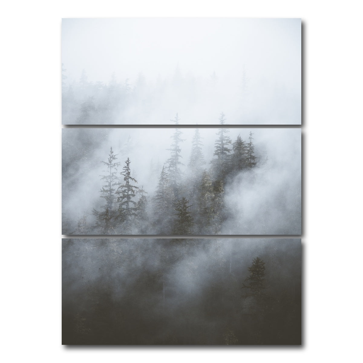 AUTO-MOCKUP WHITE | Misty Trees | 3 Piece | Gallery Wrap Canvas | group=8x18_stacked
