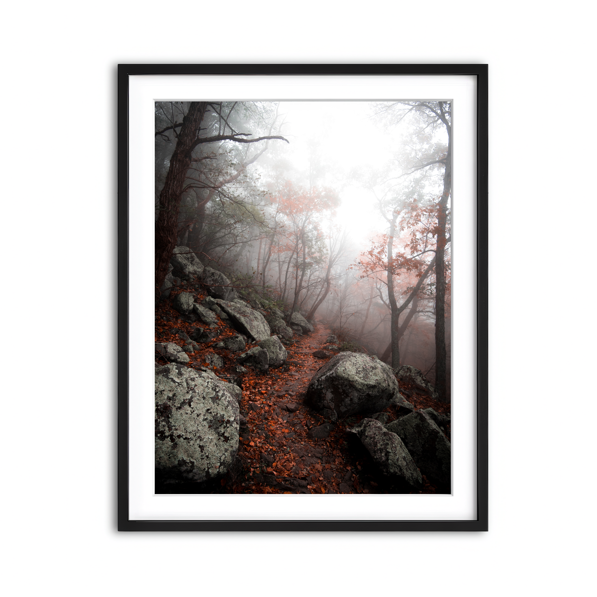 Framed Print 3x4 Black
