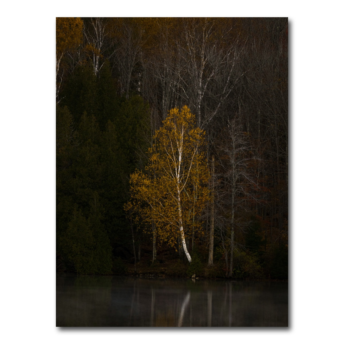 AUTO-MOCKUP WHITE | Moody Vermont Morning | 1 Piece | Gallery Wrap Canvas | group=3x4