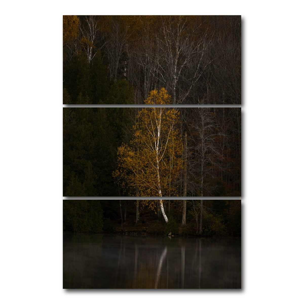 AUTO-MOCKUP WHITE | Moody Vermont Morning | 3 Piece | Gallery Wrap Canvas | group=12x24_stacked